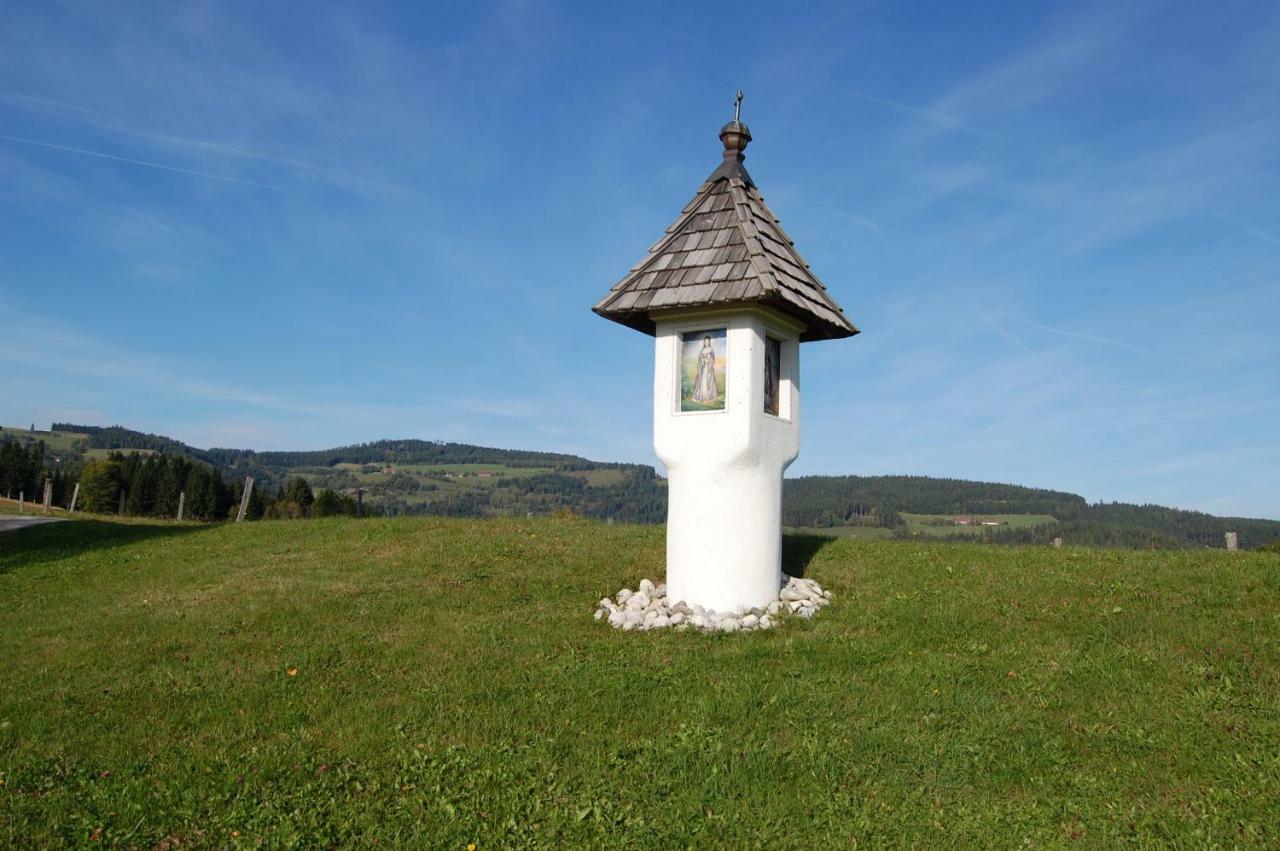 Urlaub Am Zechnerhof Lejlighed Straßburg in Kärnten Eksteriør billede